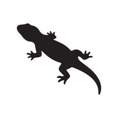 Fototapeta premium lizard silhouette isolated on white background. Lizard icon vector