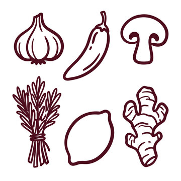 Set of hand drawn food icons including garlic chili pepper mushroom rosemary lemon and ginger root illustration