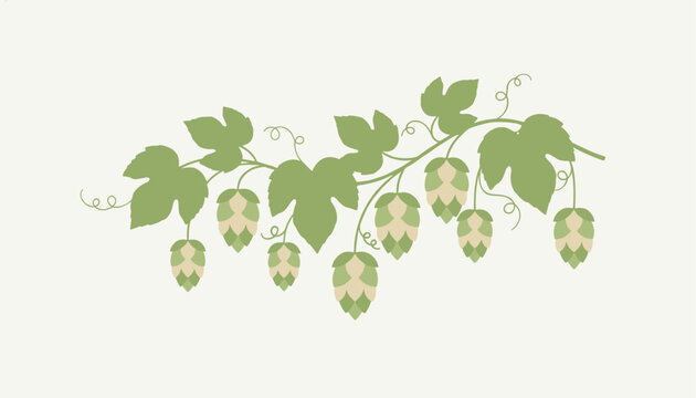 Hop vine illustration with green leaves, curling tendrils, and ripe hops cones against a warm cream background.