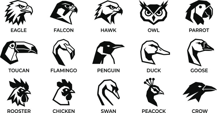 Set of fifteen black and white bird head icons featuring various species including eagle owl flamingo swan and rooster illustrations