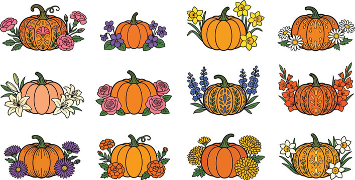 Set of 12 decorative pumpkins representing each month with corresponding seasonal flowers botanical illustration calendar carnation daffodil larkspur gladiolus marigold chrysanthemum