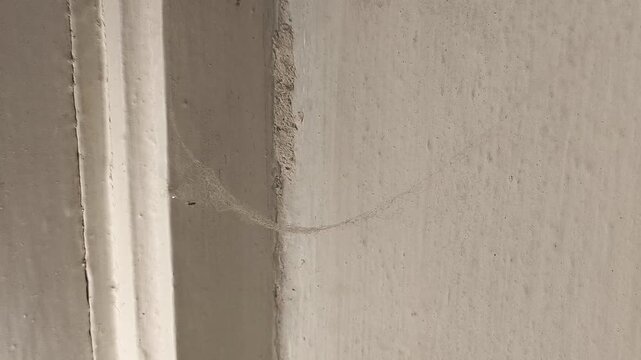 Spider web in wall corner indoors, neglected home, deep cleaning, housekeeping and home maintenance.
