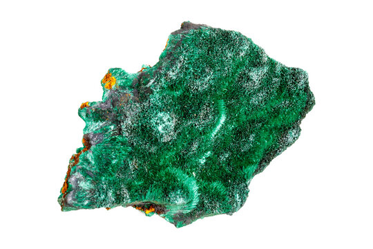 Vibrant green malachite crystal specimen with rich banding patterns isolated on white background showcasing natural mineral formation and crystalline texture