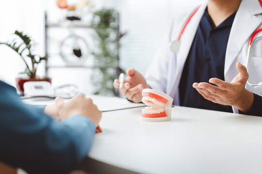 Dentist explaining dental treatment using tooth model to patient in office, discussing oral health, educating about procedures, and offering professional consultation for good dental care