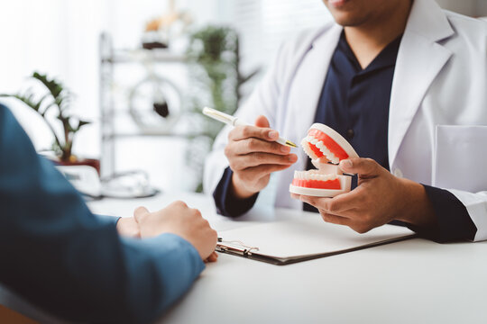 Professional dentist showing dental model to patient, explaining treatment options and oral health care in modern clinic during consultation