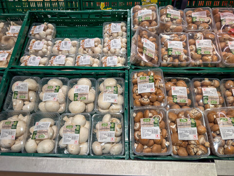 Berlin, Germany July 29, 2026. Packaged white and brown mushrooms fill green crates at a grocery store produce section. Labels identify these champignons as fresh Bio produce grown in Germany.