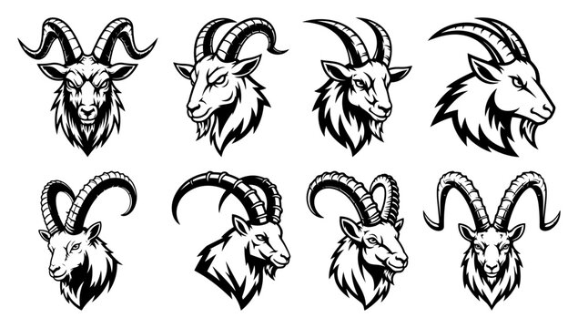 Goat and ram head collection with horns in bold black and white mascot style