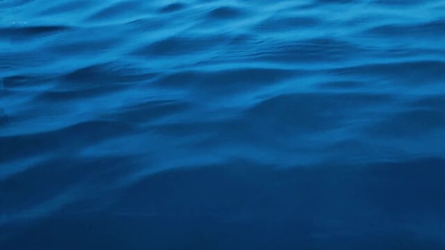 The blue sea waves surface.
