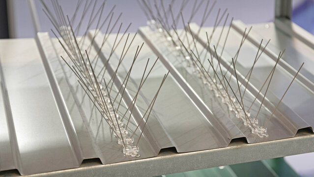 Anti Pigeon Spikes Bird Control at Corrugated Steel Roof Industrial Building