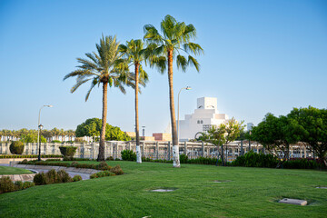 Obraz premium Museum of Islamic Art View through Tall Palm Trees and Green Park Lawn