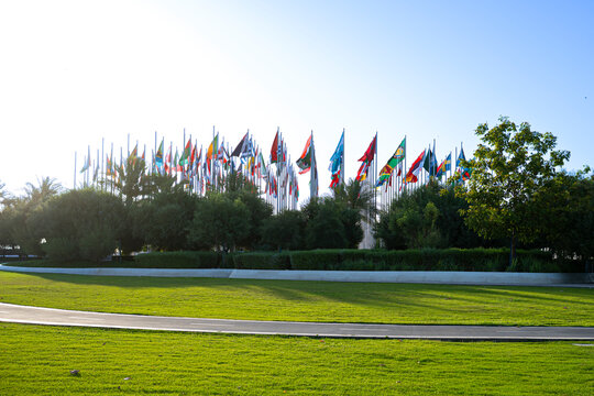 Flag Plaza in Doha with Numerous World Flags Waving above Green Park Lawn