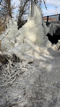 An icy tree near the river