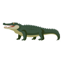 Fototapeta premium Minimal 2D flat vector of a Crocodile, icon-style illustration on a white background