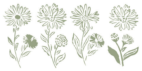 Fototapeta premium Minimalist hand drawn wildflower sketches, sage green floral line art collection, rustic botanical daisy and aster vector illustrations for wedding stationery