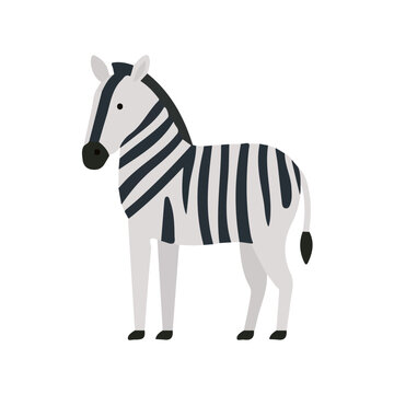 Zebra, 2D flat vector illustration in icon style, isolated on a white background