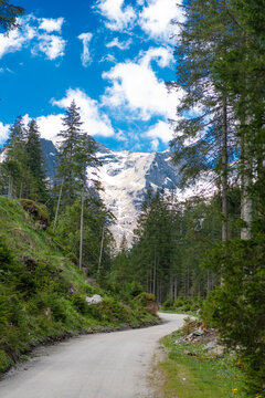 Mountain landscape trail. Road in mountainous landscape with cloudy sky. Scenic green hill mountain. Travel destination. Breathtaking summer day in wild mountain with coniferous forest trail
