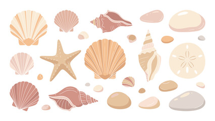 Set of hand-drawn seashells, starfish, sand dollars, and smooth pebbles in neutral earth tones, isolated on white background © Siddhartha