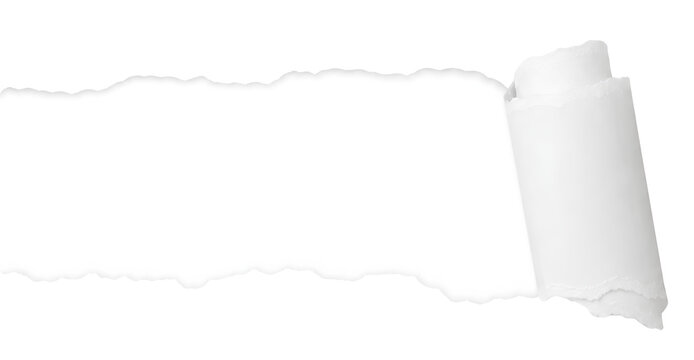 minimalist white torn paper banner with curled edge isolated on transparent background