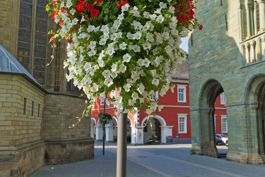 A large hanging basket of red and white flowers fills the foreground of a sunny European town square, flanked by historic stone and colorful arched buildings - Soest, Westphalia, Germany