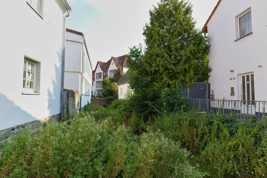 A narrow, overgrown alleyway between white buildings on a sunny day. Greenery fills the path, with a large tree visible in the background - Soest, Westphalia, Germany