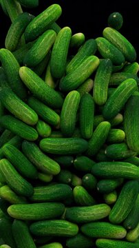 Falling cucumbers transition &ndash; 3d render with alpha channel.