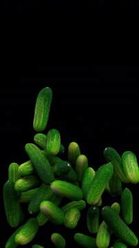 Cucumbers fountain &ndash; 3d render with alpha channel.