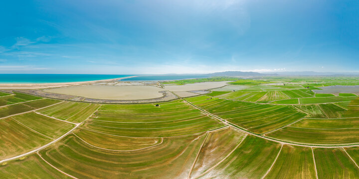 Aerial panorama of rice fields, lagoons and Mediterranean coastline in the Ebro Delta, Spain