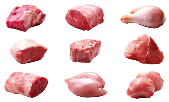 Fresh meat cuts set for butchery branding and food packaging