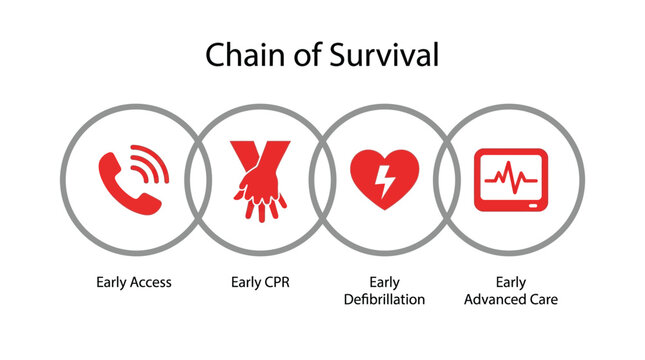 Chain of survival vector illustration showing four essential medical emergency steps with red icon graphics