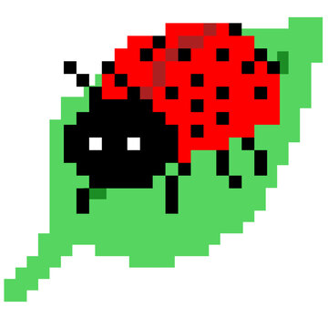 A cute ladybug on green leaf pixel art for nature concept illustration