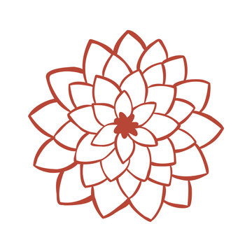 Line illustration of golden-daisy flower isolated on a white background. Vector hand-drawn clip art with Сhrysanthemum floral element for logo, print design, or sticker. Outline summer plant drawing.