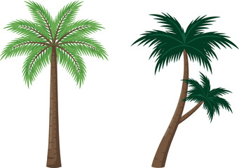 Tropical palm trees set isolated on white background featuring green fronds and brown trunks exotic nature vector illustration © Leon