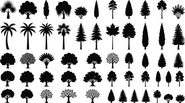 Tree Silhouette Collection with Various Species for Landscape Design and Environmental Graphic Concepts