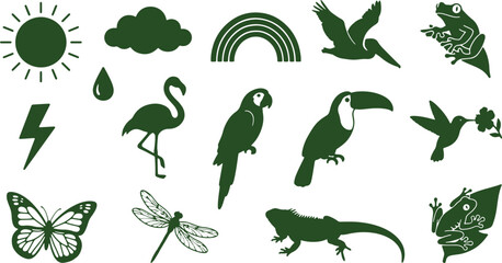 Obraz premium Nature elements birds sun cloud rainbow butterfly dragonfly iguana frog and weather symbols.