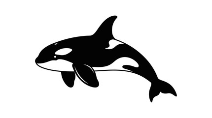 Fototapeta premium Dramatic black and white orca whale illustration for marine life artwork or educational use