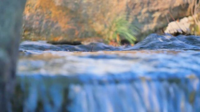 Rapid river water in a forest