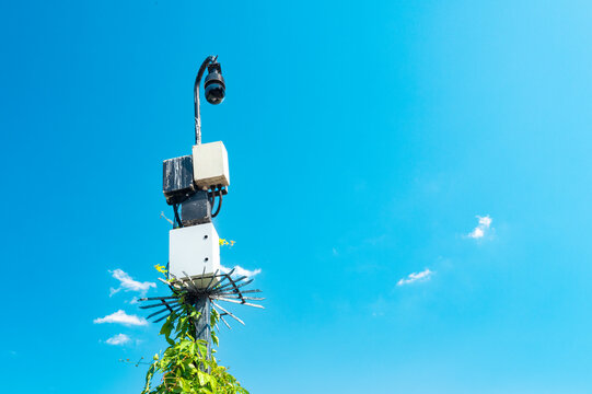 Modern PTZ dome CCTV camera seen together with wireless routers located at a typical town in Britain. Ivy can be seen creeping up the metal pole.