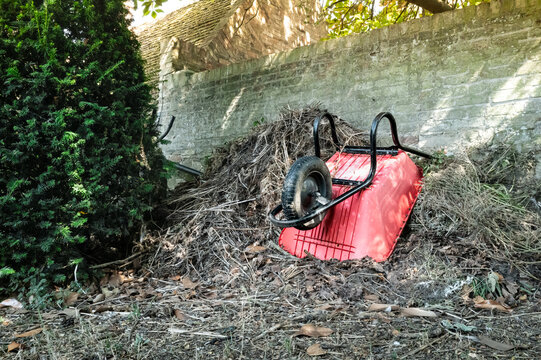 Typical garden wheelbarrow seen on a heap of garden waste at the rear of a large garden in the UK. An ancient stone wall is in the background.