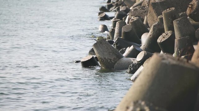 Weathered concrete breakwater blocks lining calm sea shore under soft natural light