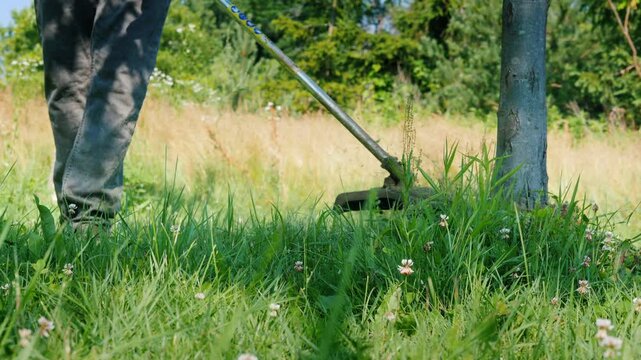Low angle shot of gardener using gasoline grass trimmer to cut weeds around fruit tree trunk in summer garden.