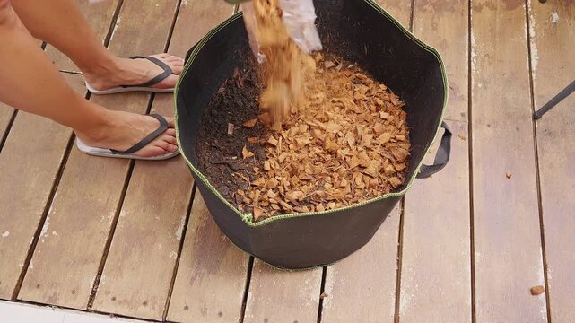 Gardener Adds Coconut Husk over Dark Soil in a Large Fabric Pot, Creating a Natural Mulch Layer for Moisture Retention and Sustainable Cultivation