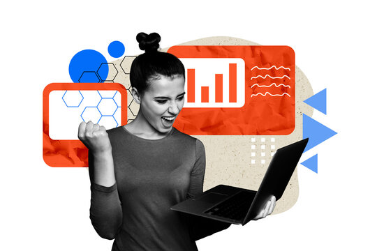 Creative sketch collage of happy businesswoman hold laptop chart webpage development icon success aim winning opportunity