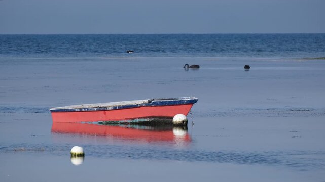 A dinghy rests anchored near white mooring buoys in the calm, shallow waters along the Seaholme foreshore in Altona, Melbourne, Australia,&nbsp;waterfowl resting nearby under horizon on Port Phillip Bay.