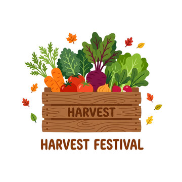 Fresh autumn harvest vegetables in wooden crate. Organic farm produce for harvest festival.