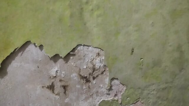 Wall paint is peeling and damaged due to damp walls and water seepage