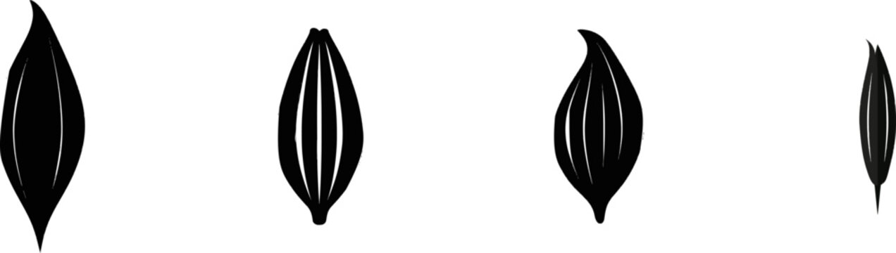 Lily Bud Iconography: A solitary, elongated black lily bud in the center of a white background, devoid of shading or texture