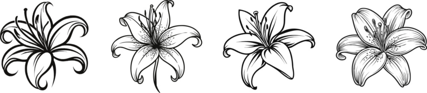A minimalist black-and-white icon of a lily flower with six petals and long stamens, set against a white background, exudes elegance and simplicity in its design