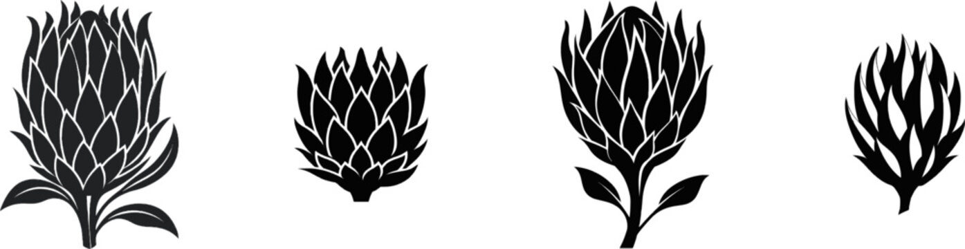 A flat, black-and-white icon of a king protea flower head with pointed bracts forming a crown-like cup, set against a white background