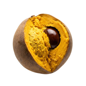 Lucuma fruit with yellow pulp and seed isolated on white background, fresh organic eggfruit with fibrous texture, exotic superfood for healthy recipes