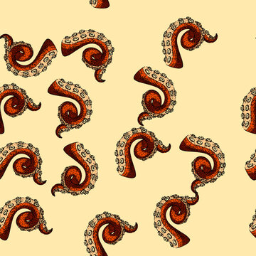pattern squid octopus kraken tentacle hand drawn. sea tattoo, art underwater, fantasy isolated squid octopus kraken tentacle vector sketch illustration